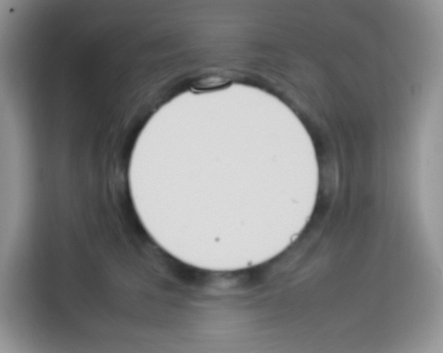 X0000113030613200910081221