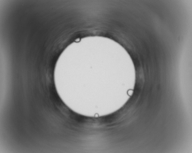 X0000113030615200910081221