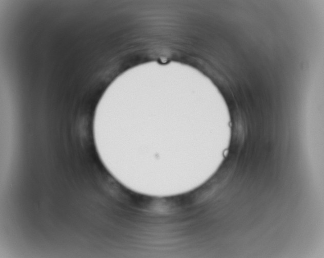 X0000113030616200910081221