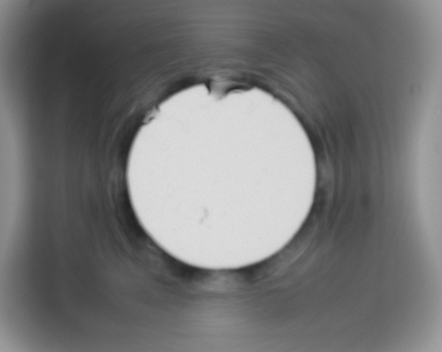 X0000113030617200910081221