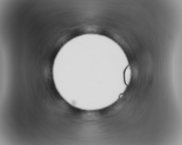 X0000113030619200910081221