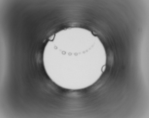 X0000113030620200910081221