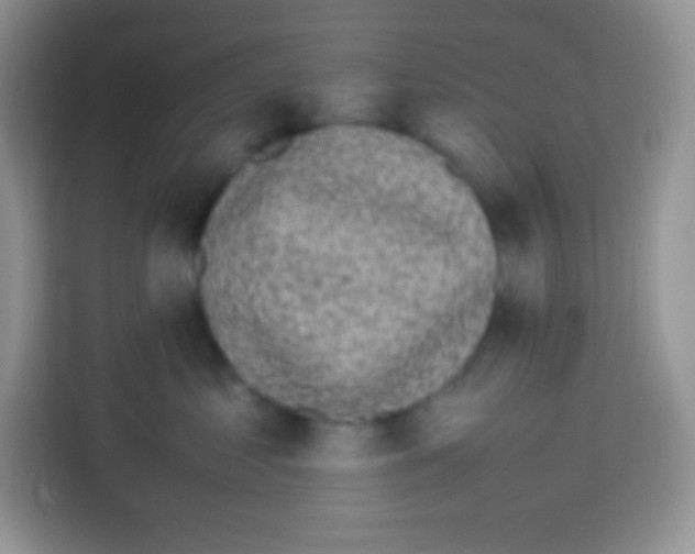 X0000113030621200910081221