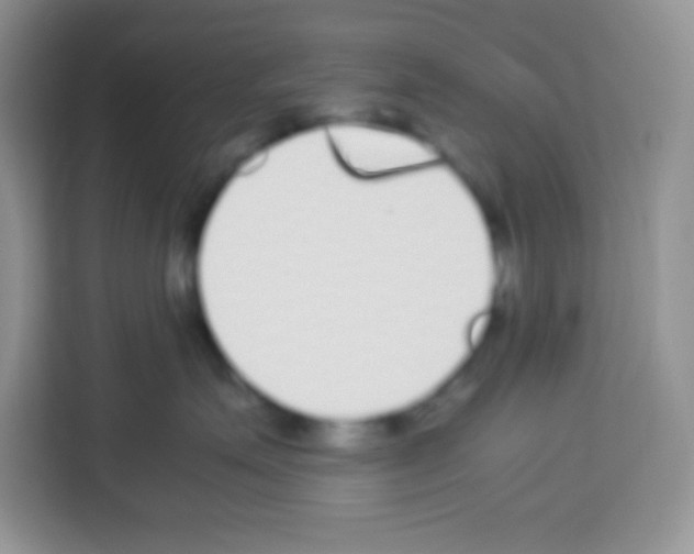 X0000113030623200910081221