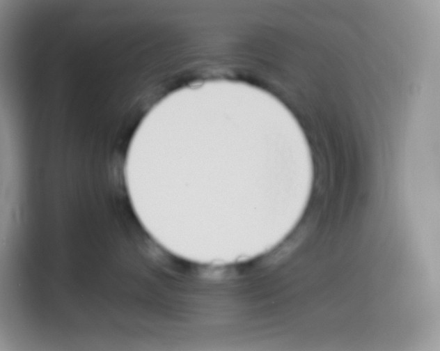 X0000113030624200910081221