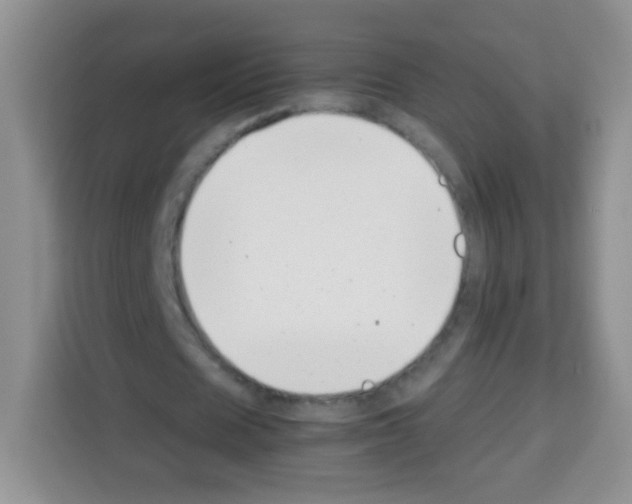 X0000113030625200910081220