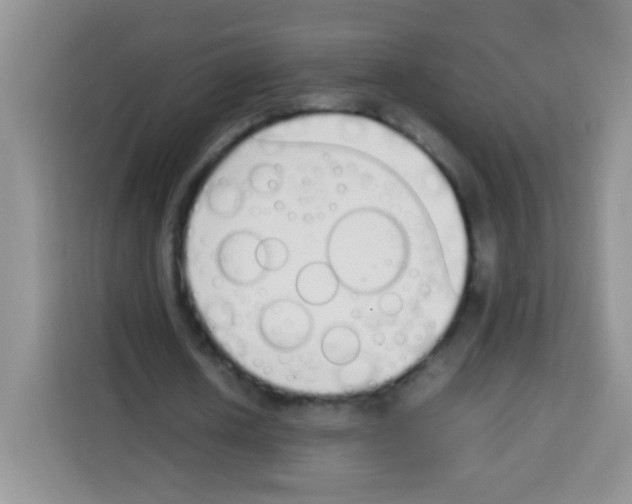 X0000113030626200910081220