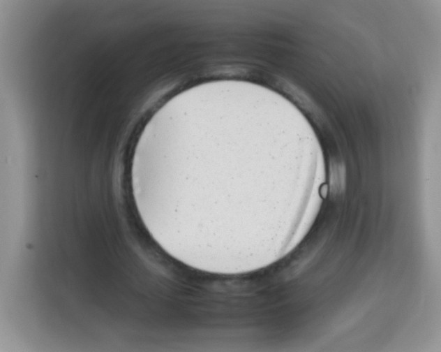 X0000113030627200910081220