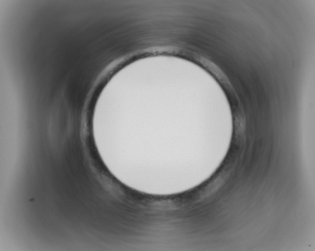 X0000113030628200910081220