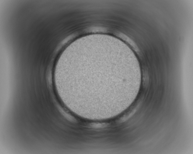 X0000113030629200910081220