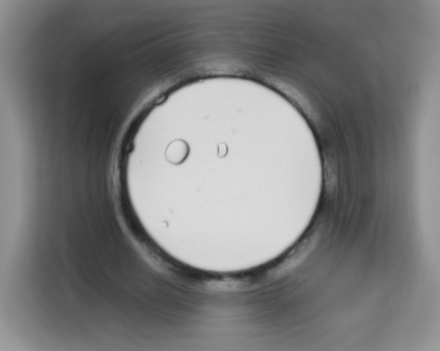 X0000113030630200910081220