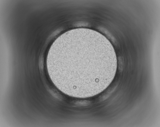X0000113030631200910081220