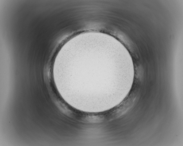 X0000113030632200910081220
