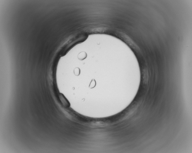 X0000113030634200910081221