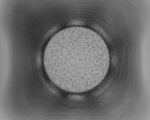 X0000113030635200910081221