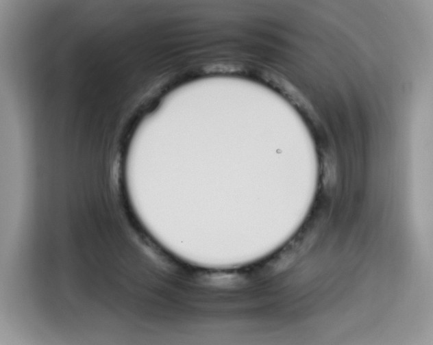 X0000113030637200910081221