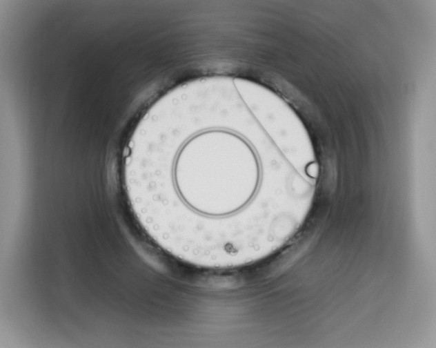 X0000113030638200910081221