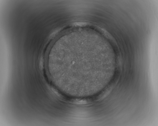 X0000113030640200910081221