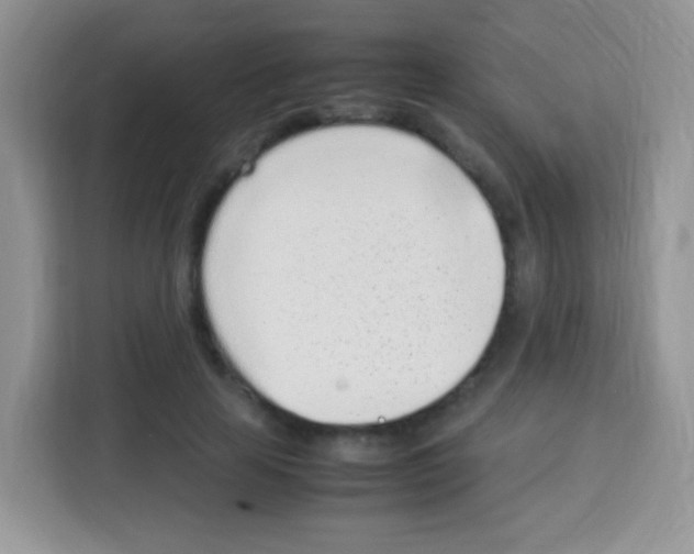 X0000113030641200910081221