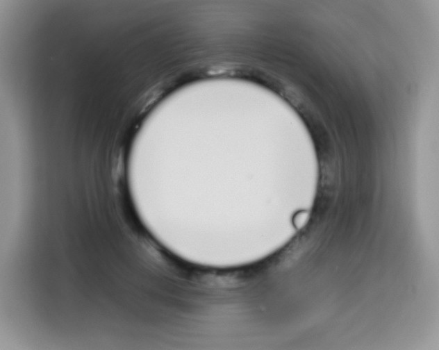 X0000113030648200910081221