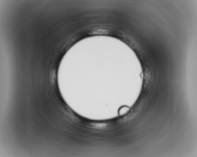 X0000113030649200910081221