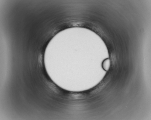 X0000113030650200910081221