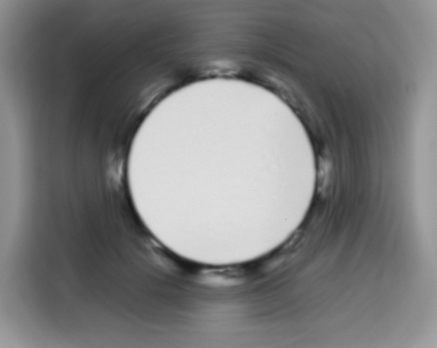 X0000113030652200910081221