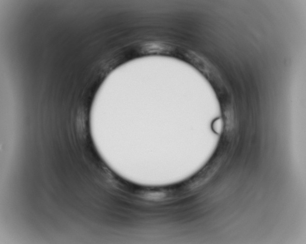 X0000113030653200910081221