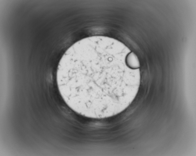 X0000113030655200910081221