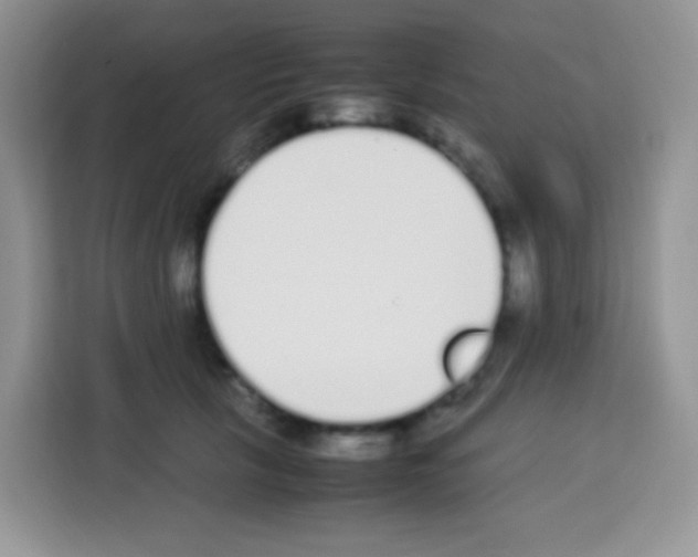 X0000113030657200910081221