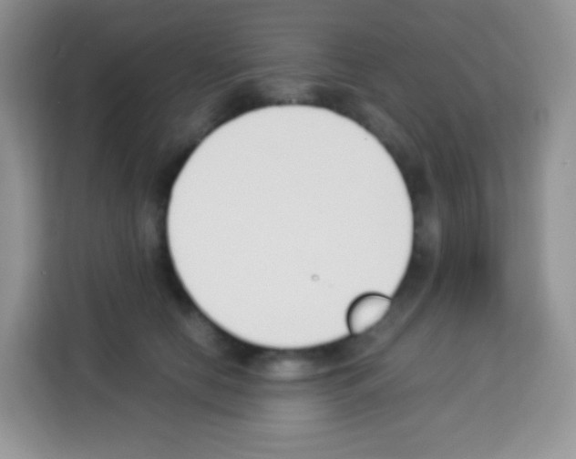 X0000113030658200910081221