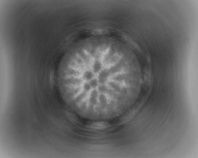 X0000113030659200910081221