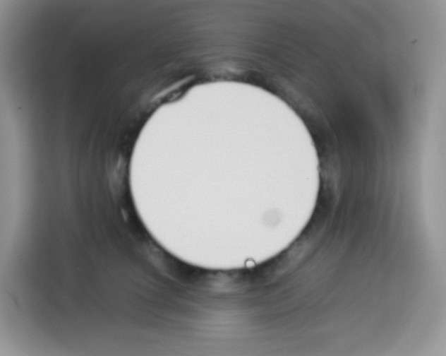 X0000113030660200910081221