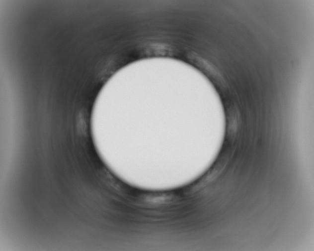 X0000113030661200910081221