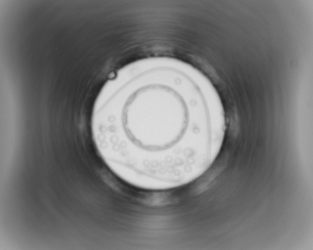 X0000113030662200910081221