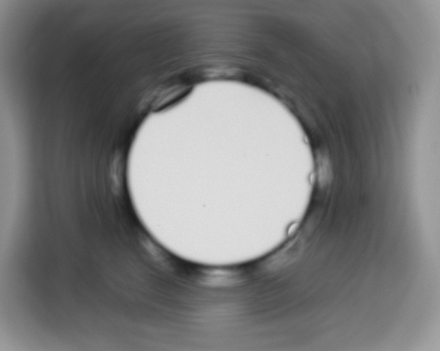 X0000113030664200910081221
