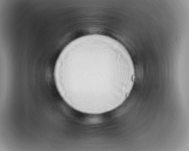 X0000113030667200910081221