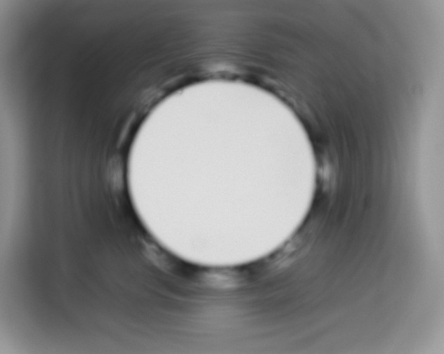 X0000113030668200910081221