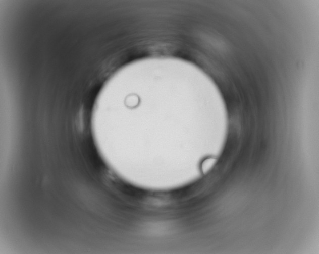 X0000113030671200910081221