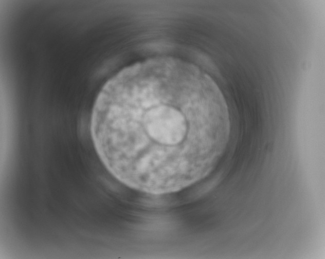 X0000113030672200910081221