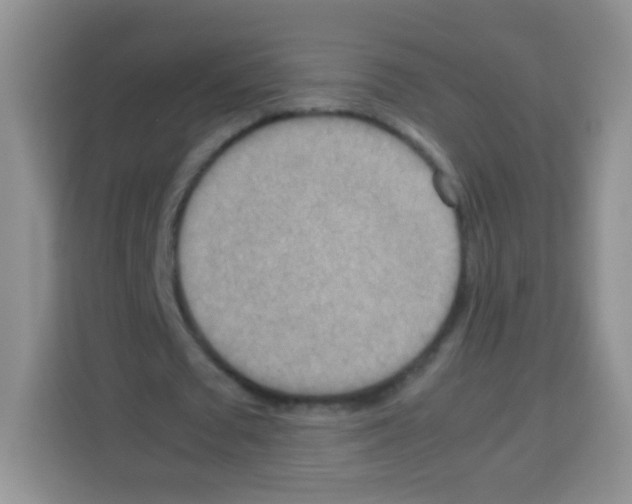 X0000113030673200910081220