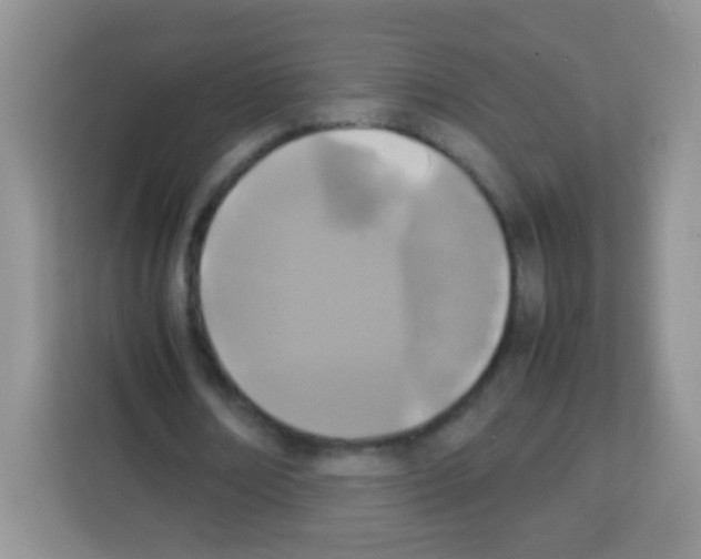 X0000113030674200910081220