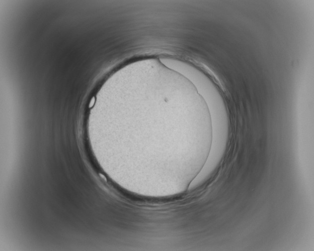 X0000113030677200910081220