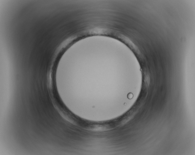 X0000113030678200910081220