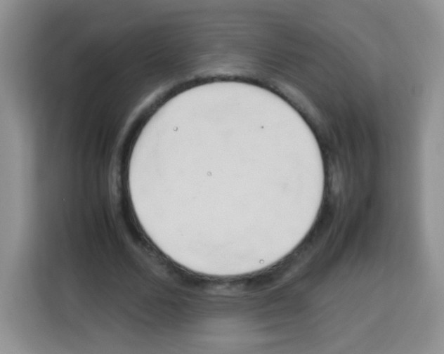 X0000113030680200910081220