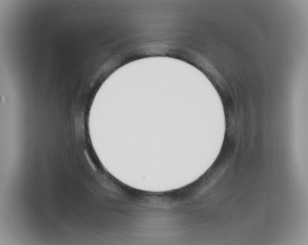 X0000113030681200910081220