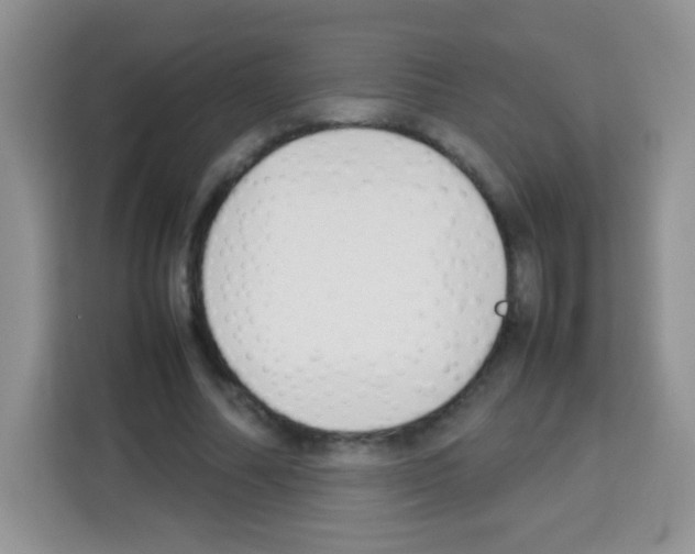 X0000113030682200910081220