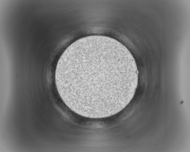X0000113030683200910081220