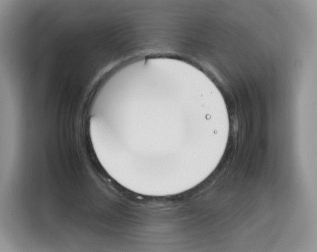 X0000113030684200910081220