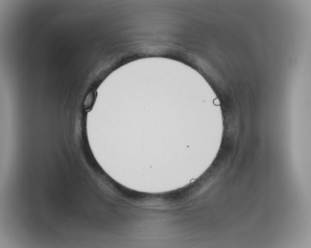 X0000113030685200910081220